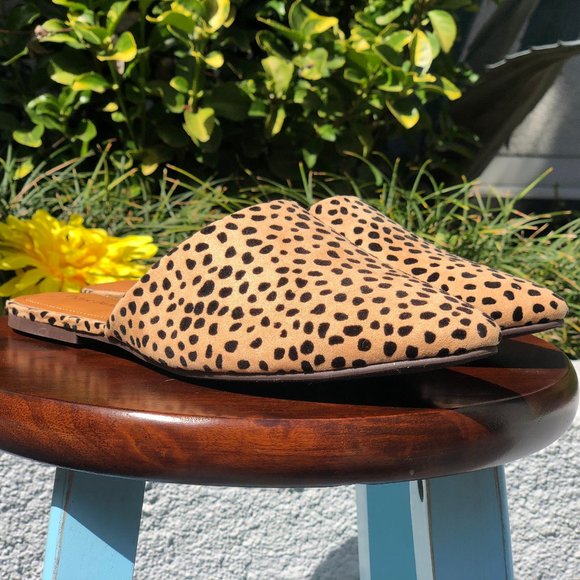 Pierre Dumas Shoes - Pierre Dumas Cheetah Flat Mules